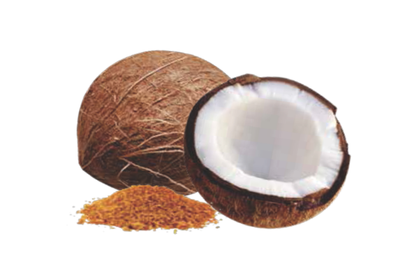 Coconut